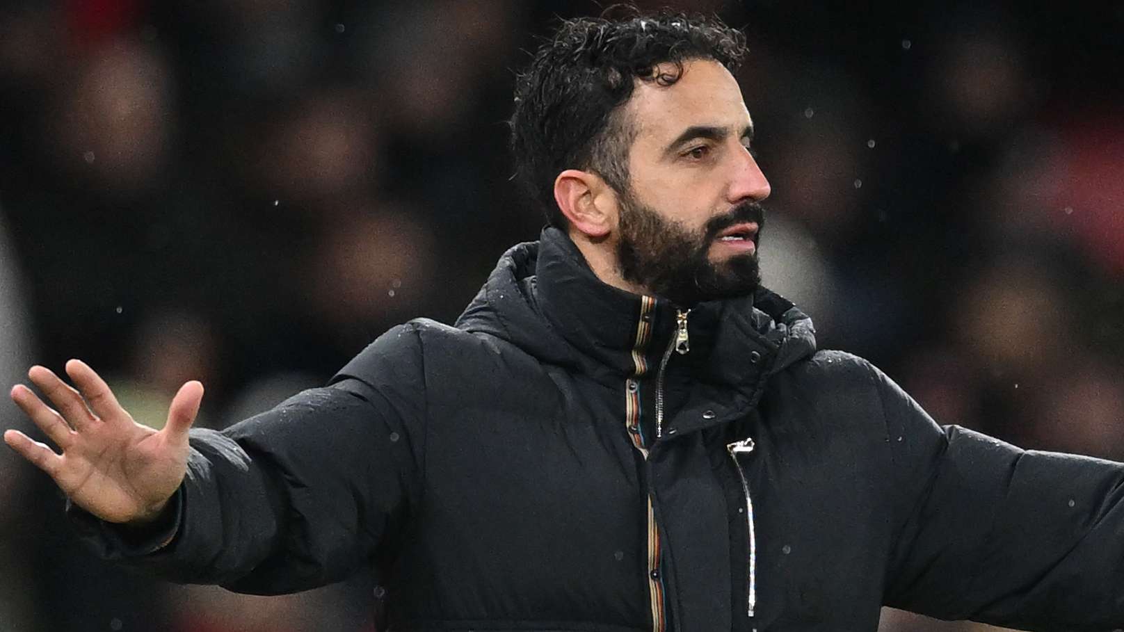 到了猛龙队 到了猛龙队