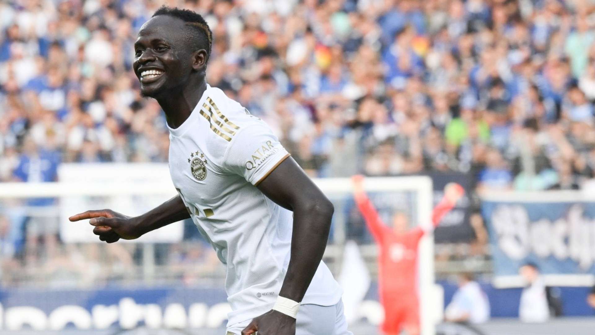 岁的张志磊 岁的张志磊