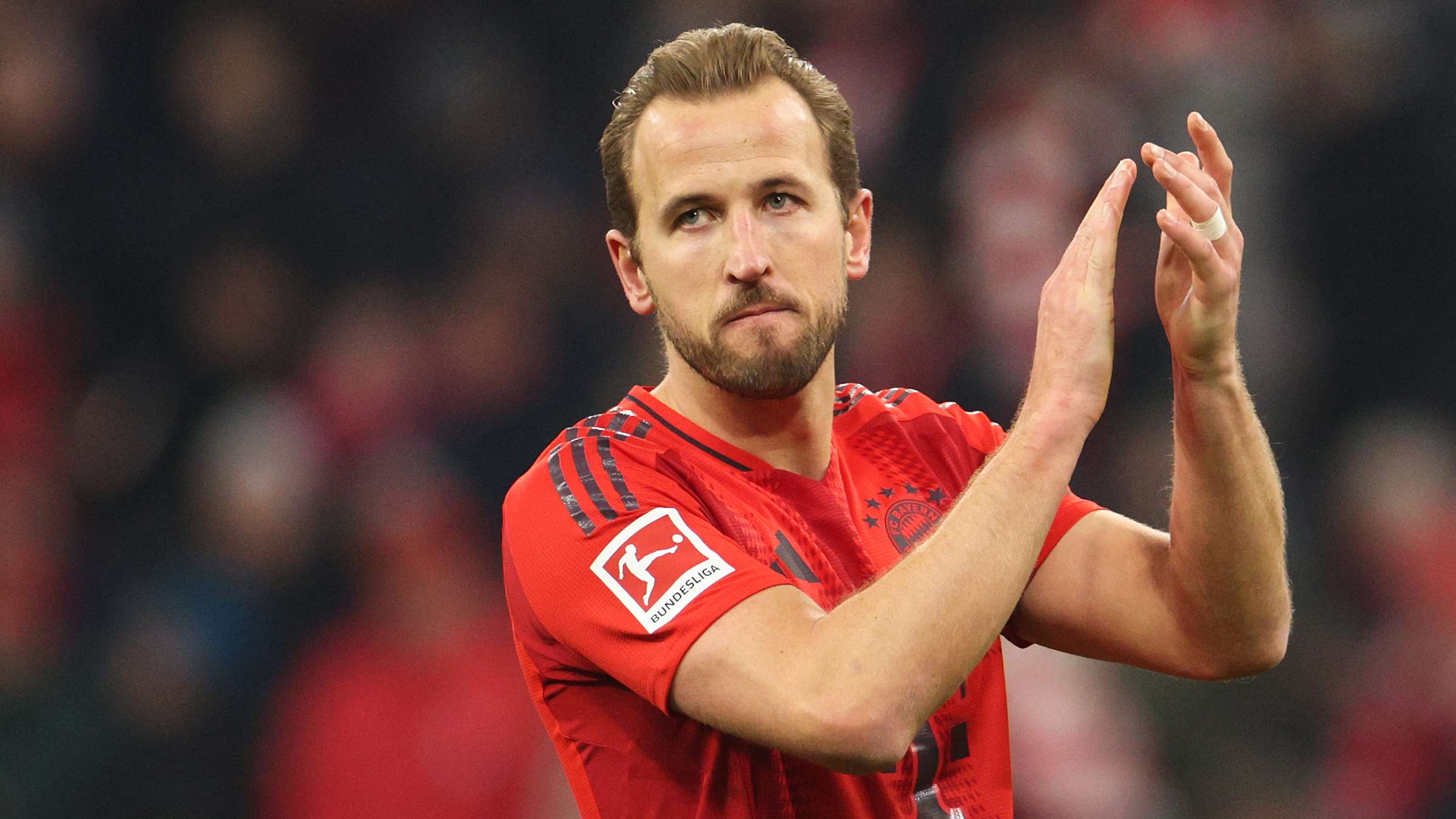 这句话的探 这句话的探